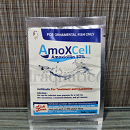 AMOXCELL 5 GRAM AMOXICILLIN 50% OBAT ANTIBIOTIK KARANTINA IKAN HIAS HEWAN PELIHARAAN