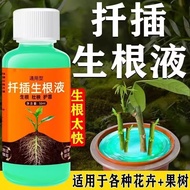 Fast Life Plant Roots Fruit Tree 26.4.10 Flower House Branches Universal Flower Gardening Cuts Month