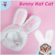 Bunny Hat Cat Hat