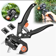 AMT Specialized grafting scissors, grafting, pruning ornamental plants, tools that every farmer need