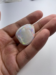 蛋白石歐泊化石變彩原礦 opal裸石寶石輕珠寶半寶石