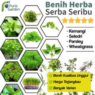 Bibit Benih Herba Seledri Kemangi Wheatgrass dll Purie Garden