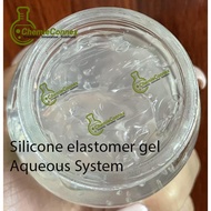 Silicone Elastomer/Skin Care/Cosmetic/Lipcare/Liptint/Aqueous System