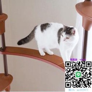 貓跳台貓爬架 OPPO日本進口 大型通天柱 樹脂合金  一體跳臺 貓樹貓森林貓爬架