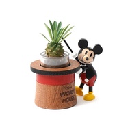 [Magician Mickey] Succulent Potted Plant Jar1251043 (((Pots/Succulent/Disney/Wooderful life) &lt; Fengnian Season Shop &gt;