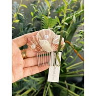 Seashell clips, beach accessories, photography accessories, hair accessories