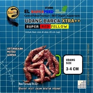 " Udang Kering Pakan Ikan Channa EL BARCA Feed Xtra++ Untuk Ikan 20 cm