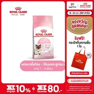 Royal Canin Starter Mother & Baby Cat โรยัล คานิน อาหารแม่แมวตั้งท้อง-ให้นม และ ลูกแมวอายุต่ำกว่า 4 