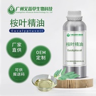 Factory Supply Eucalyptus Oil Single Essential Oil Blue Eucalyptus Oil Eucalyptus Oil Eucalyptus Essential OilEucalyptus