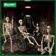 36"" Halloween Posable Skeletons Full Body Plastic Human Bone Model with Movable Joints for Yard Hau