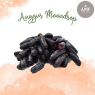 Unik Anggur Moondrop 1KG Berkualitas