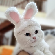 Bf888S Bunny Hat Costume - Cute Unique Cat Dog Animal Hat Costume Rabbit Design Bu-100