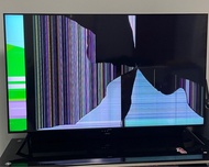 Samsung 50寸電視機smart TV 壞panel