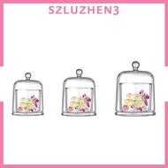 [Szluzhen3] Clear Cloche Gifts with Top Handle Decoration Tabletop Ornament for