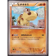 (JP) Hippopotas CP2 013/027 (2015) Holo Pokemon Card