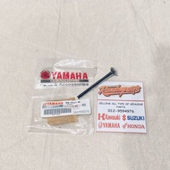 B3F-E2121-00 // EXHAUST VALVE NMAX NEW NVX155 NEW - VALVE API