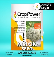 (100 SEEDS) Biji Benih Rock Melon Glory 荣耀 ML219 CROP POWER F1 HYBRID  Rock Melon Seed  蜜瓜种子 ML 219