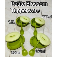 HIJAU Petite Blossom Green Lime (390ml, 800ml, 1.2L) Tupperware New