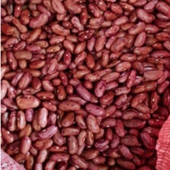 Kacang / Kacang Jogo Merah Segar

