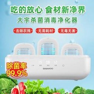 【現貨可開發票】大宇果蔬凈化器家用廚房多功能殺菌凈化機食材果蔬消毒清洗機