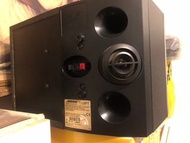 Bose視聽音響設備Bose 301V喇叭5.1聲道