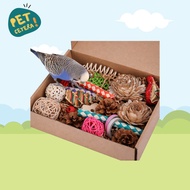 Bird Assorted Chew Toy Box | Bird Bite Toy Parrot/