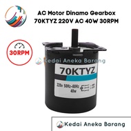 Gj99 AC Gear Gearbox Dynamo Motor 70KTYZ 220V 30RPM 40W High Torque Torque