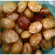 [Ready Stock] Jering Tua Kopek /Jengkol tua / Jering Muda / Jering sambal 1Kg