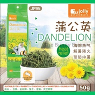 Jolly JP95 Dandelion Hay Grass High Fibre for small pets