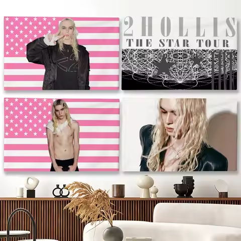 Rapper 2hollis Star USA pink flag Suitable For Party Club Outdoor Interior Wall Decoration Banner Fa