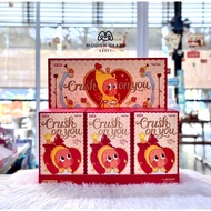 Twinkle Crush On You Series-Plush Pendent Blind Box