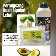 Pupuk Buah Alpukat Terbaik, Paket Pupuk Boster + NPK Untuk Alpukat, 