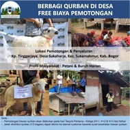 Program Berbagi Qurban Domba / Kambing Kurban