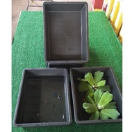 Bekas sesuai untuk breed ikan laga ,ikan guppy / 1pcs