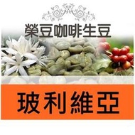 愛神合作社 水洗 玻利維亞  每包500公克【榮豆咖啡生豆】 精品咖啡生豆