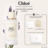 น้ำหอมผู้หญิง Chloé Atelier Des Fleurs Lavanda Eau De Parfum For Women | Symbol of Tenderness​ | Gre