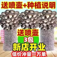 [Buy One and Get Three]Home Mushroom Growing Kit Edible Mushroom Sticks Mushroom Growing Kit Edible 