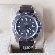 Tudor Tudor Biwan Series Frosted 925 Silver M79010SG-0001 Wrist Watch Watch Men Mechanical Watch