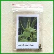❐ ☜ pansit-pansitan seeds