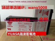 樂享✨YUASA湯淺 NPW45-12 12V,45WCell,10min. 12V9AH UPS用蓄電池