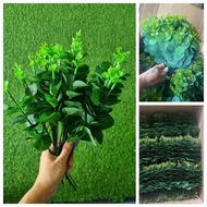 0.5kg apple leaves, dollar leaves