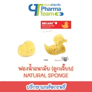 (1 Piece) NATURAL SPONGE Sanitary BECARE Brand