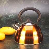 2.5 L THICKSTOVE KETTLE DPURPLE 12568 GG