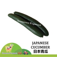 Japanese Cucumber / Timun Jepun <Fresh Vagetables from Cameron Highland> 金马伦新鲜日本青瓜 Sayur Segar