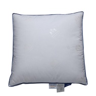 100% White Goose Down Cushion Natural Down Throw Pillow Core Headrest Hotel Choiceness Of Sofa Pill