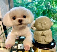 麗香爐  地藏【日本松榮堂 香爐系列】