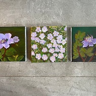 三幅系列原畫 / 雙溪野牡丹 Melastomataceae - 老媽的畫作