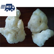 2pcs Dried Dry Hu Lu Gourd Fish Maw 葫蘆鰾 魚鰾 Yu Biao Piao YuBiao YuPiao