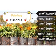 【READY STOCK】[1 KG] Black UV Polibag Hitam Nursery Plastik Benih Seed Poly grow bag Polybeg plant gardening 种植袋 家园种菜