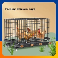 Kandang ayam besi Foldable Chicken Cage Automatic Egg Collection Pet Wire Mesh Breeding Cage 鸡笼 鸡舍